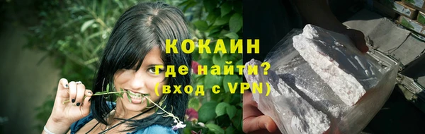 стаф Володарск