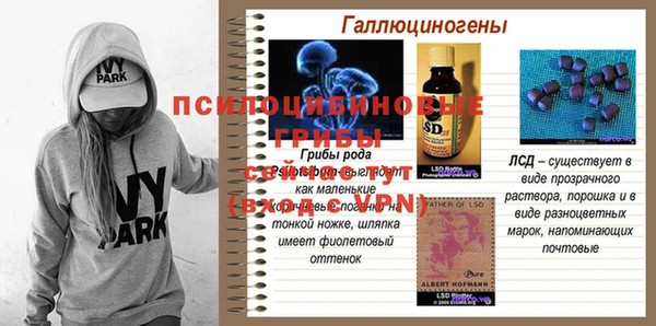 спайс Вяземский